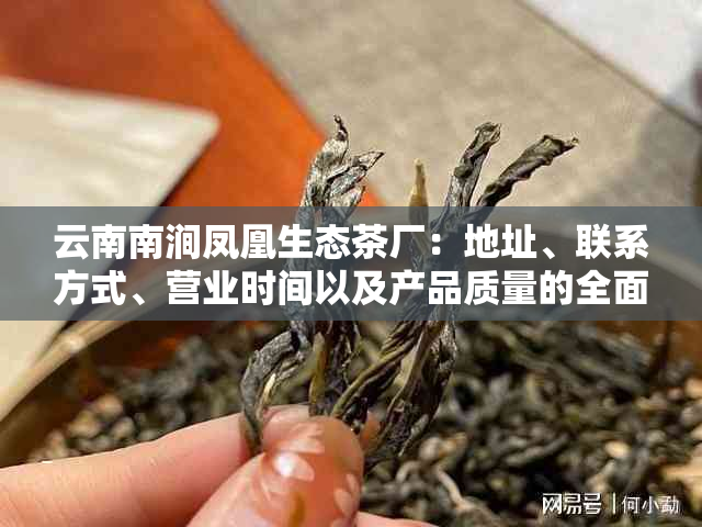 云南南涧凤凰生态茶厂：地址、联系方式、营业时间以及产品质量的全面了解