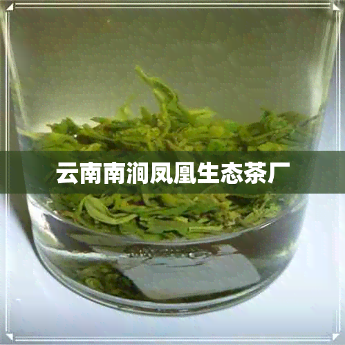 云南南涧凤凰生态茶厂