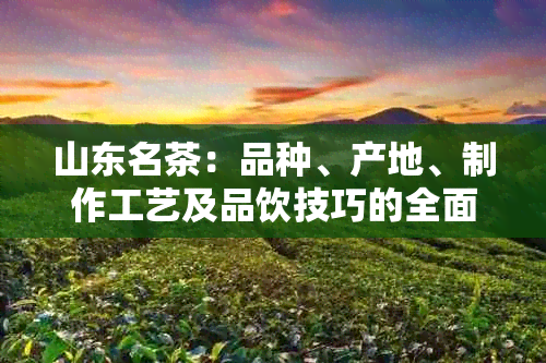 山东名茶：品种、产地、制作工艺及品饮技巧的全面解析与推荐