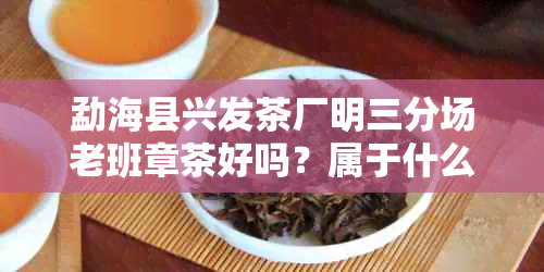 勐海县兴发茶厂明三分场老班章茶好吗？属于什么档次？电话是多少？