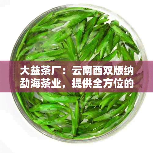 大益茶厂：云南西双版纳勐海茶业，提供全方位的茶叶产品与服务信息