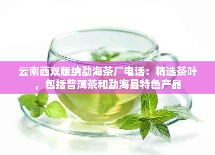 云南西双版纳勐海茶厂电话：精选茶叶，包括普洱茶和勐海县特色产品