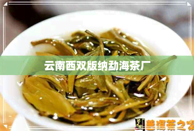 云南西双版纳勐海茶厂