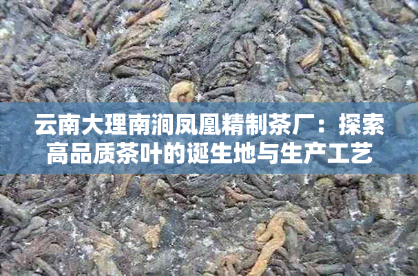 云南大理南涧凤凰精制茶厂：探索高品质茶叶的诞生地与生产工艺