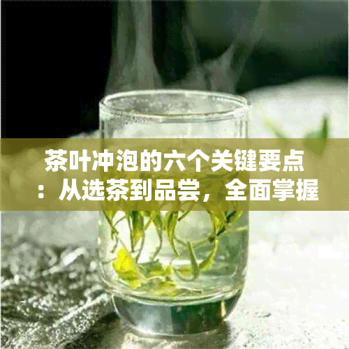 茶叶冲泡的六个关键要点：从选茶到品尝，全面掌握泡茶技巧