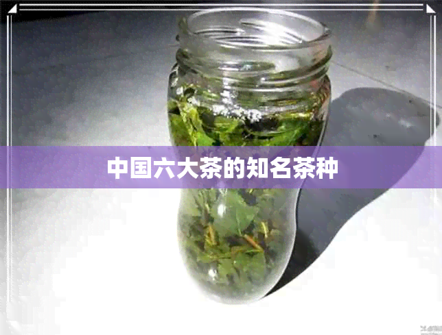 中国六大茶的知名茶种