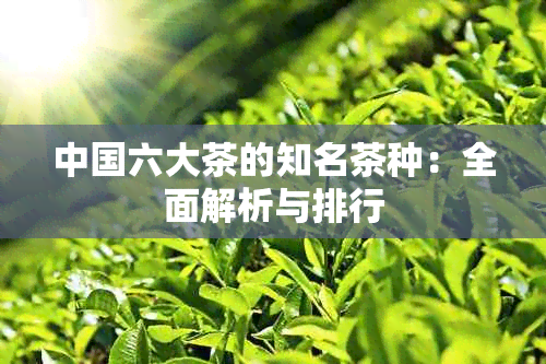 中国六大茶的知名茶种：全面解析与排行