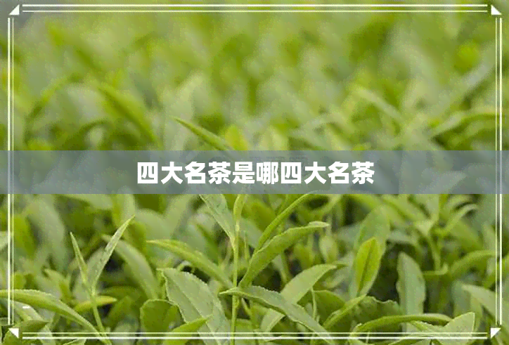 四大名茶是哪四大名茶