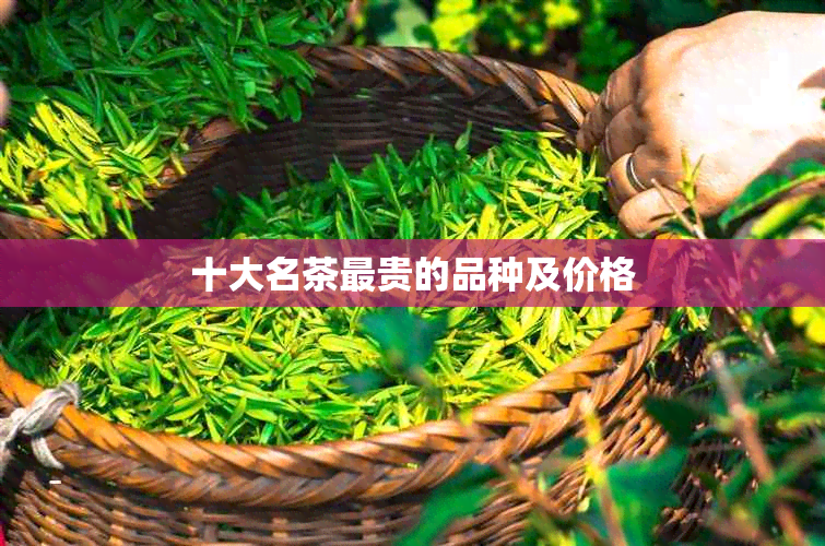 十大名茶最贵的品种及价格