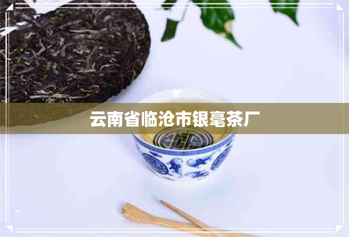 云南省临沧市银毫茶厂