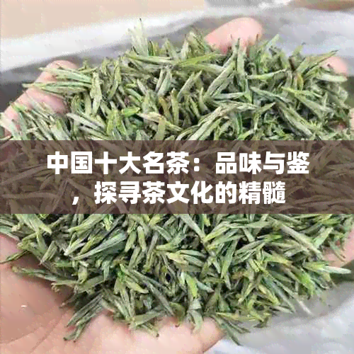 中国十大名茶：品味与鉴，探寻茶文化的精髓