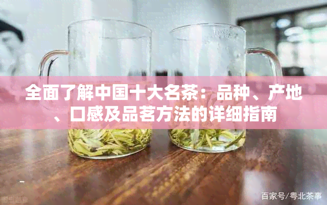 全面了解中国十大名茶：品种、产地、口感及品茗方法的详细指南