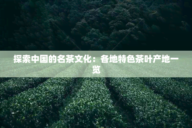 探索中国的名茶文化：各地特色茶叶产地一览