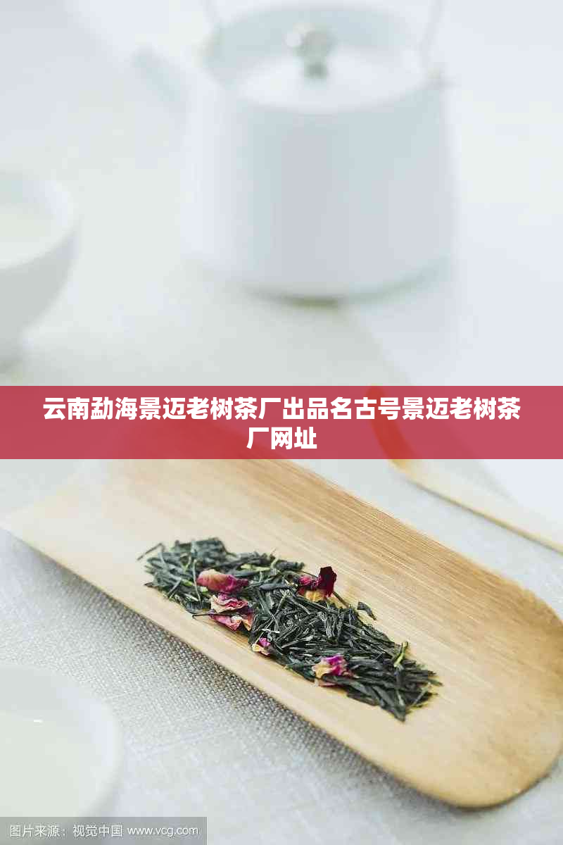 云南勐海景迈老树茶厂出品名古号景迈老树茶厂网址