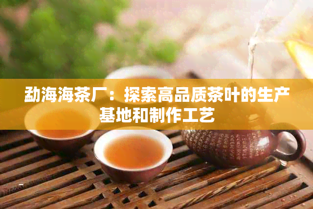 勐海海茶厂：探索高品质茶叶的生产基地和制作工艺