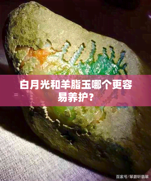 白月光和羊脂玉哪个更容易养护？