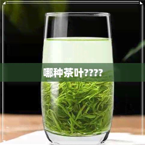 哪种茶叶????