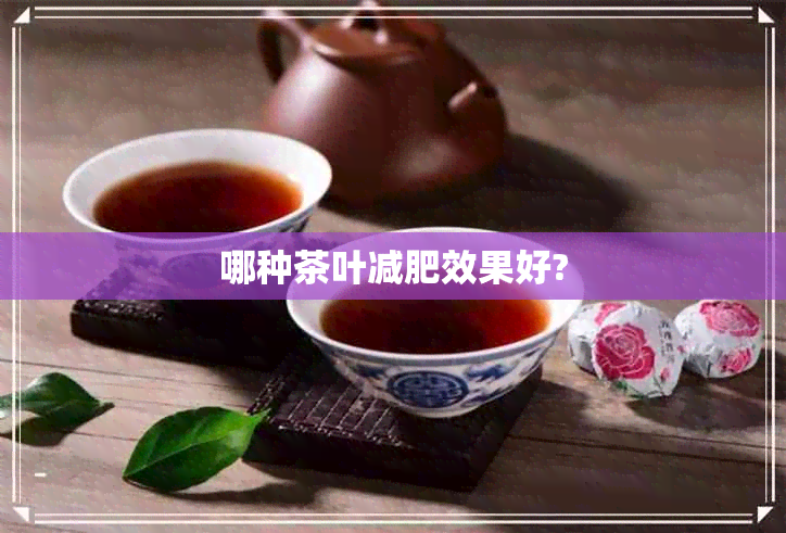 哪种茶叶减肥效果好?