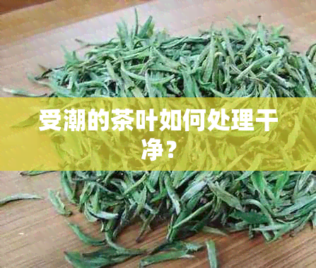 受潮的茶叶如何处理干净？