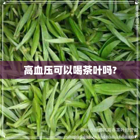 高血压可以喝茶叶吗?