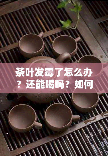 茶叶发霉了怎么办？还能喝吗？如何处理以避免食品安全问题