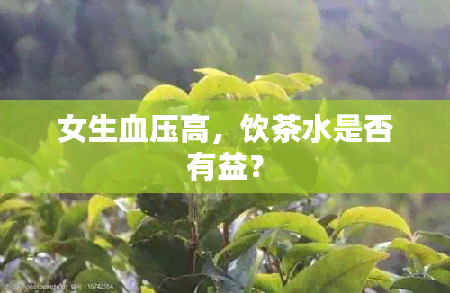 女生血压高，饮茶水是否有益？