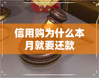 信用购为什么本月就要还款