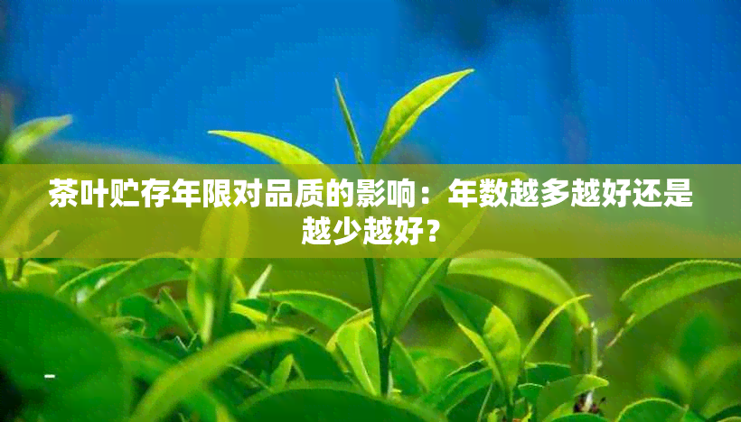 茶叶贮存年限对品质的影响：年数越多越好还是越少越好？