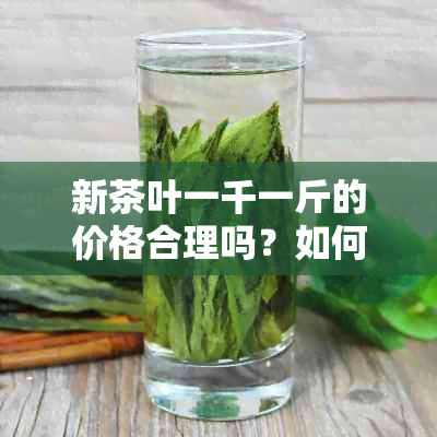 新茶叶一千一斤的价格合理吗？如何判断优质茶叶的价值？