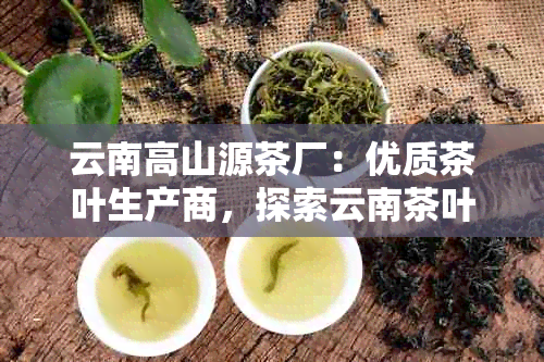 云南高山源茶厂：优质茶叶生产商，探索云南茶叶的魅力与品质