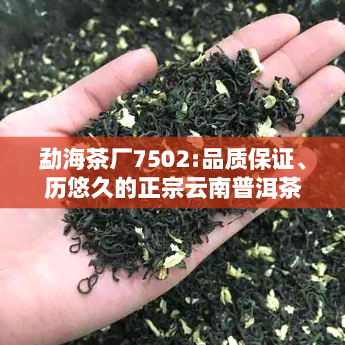 勐海茶厂7502:品质保证、历悠久的正宗云南普洱茶生产厂家及详细信息