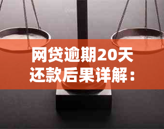 网贷逾期20天还款后果详解：如何避免信用受损及额外费用