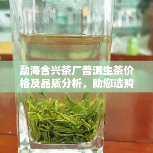 勐海合兴茶厂普洱生茶价格及品质分析，助您选购优质茶叶