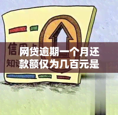 网贷逾期一个月还款额仅为几百元是否合理？如何解决逾期还款问题？