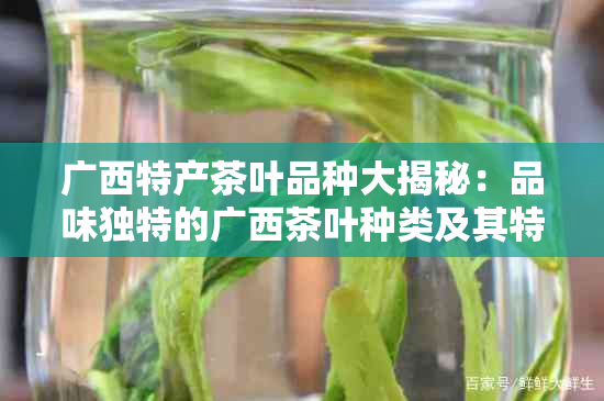 广西特产茶叶品种大揭秘：品味独特的广西茶叶种类及其特点