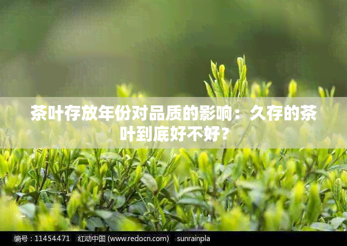 茶叶存放年份对品质的影响：久存的茶叶到底好不好？