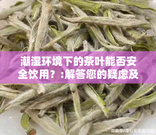 潮湿环境下的茶叶能否安全饮用？:解答您的疑虑及提供处理建议