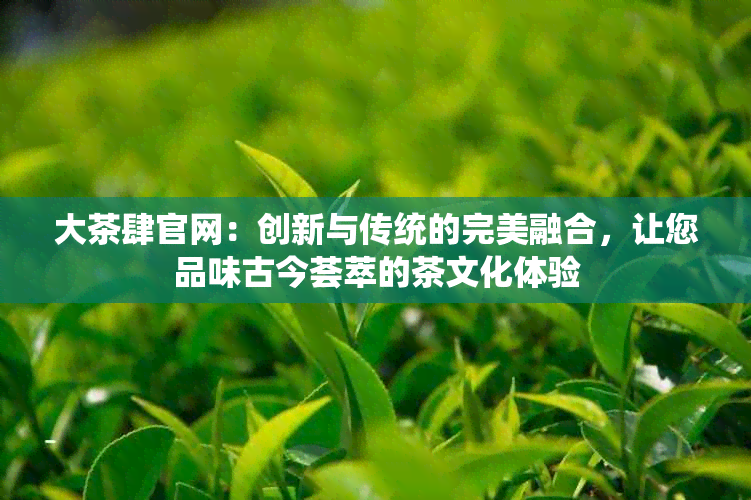 大茶肆官网：创新与传统的完美融合，让您品味古今荟萃的茶文化体验