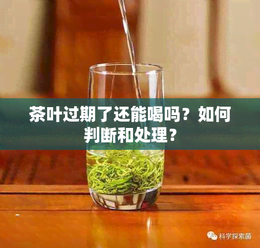 茶叶过期了还能喝吗？如何判断和处理？