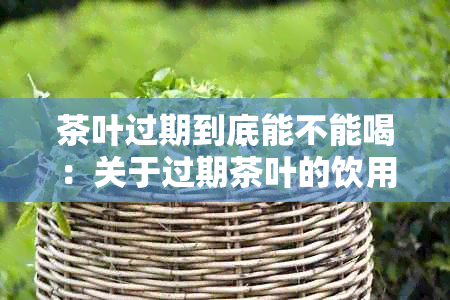 茶叶过期到底能不能喝：关于过期茶叶的饮用安全性