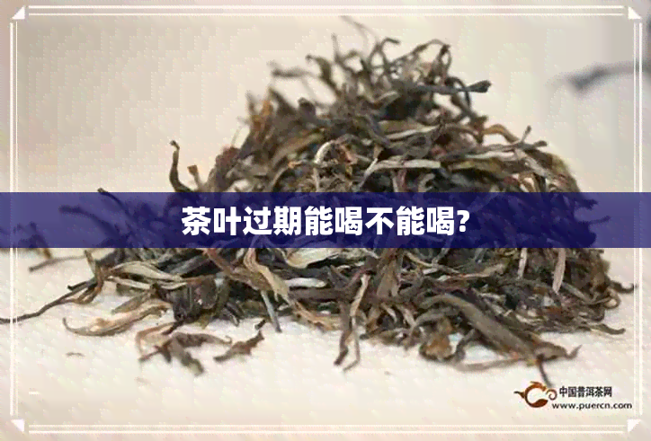 茶叶过期能喝不能喝?