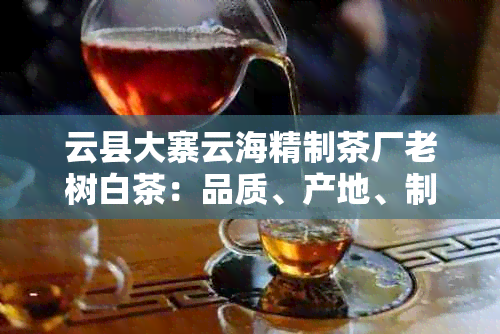 云县大寨云海精制茶厂老树白茶：品质、产地、制作工艺与品鉴技巧全方位解析