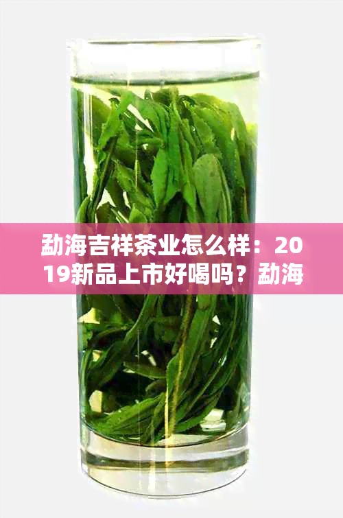 勐海吉祥茶业怎么样：2019新品上市好喝吗？勐海吉祥茶业。