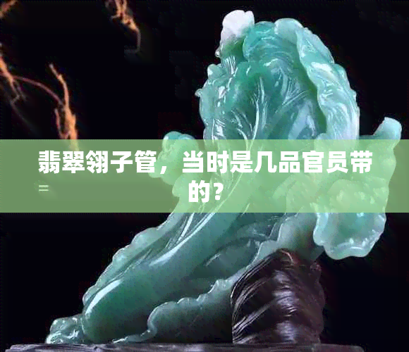 翡翠翎子管，当时是几品官员带的？