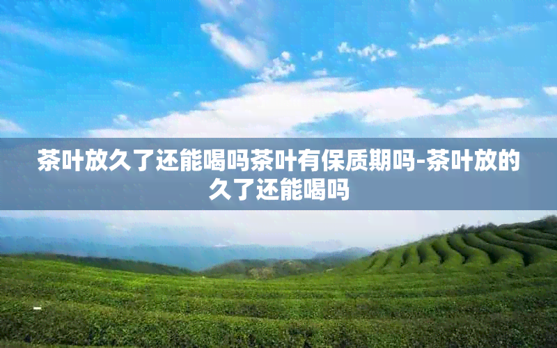 茶叶放久了还能喝吗茶叶有保质期吗-茶叶放的久了还能喝吗