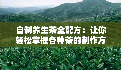 自制养生茶全配方：让你轻松掌握各种茶的制作方法和功效