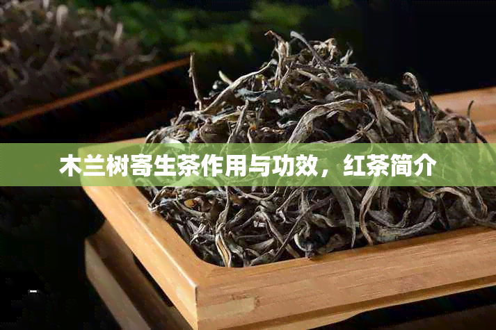 木兰树寄生茶作用与功效，红茶简介