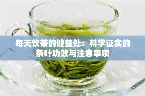 每天饮茶的健益处：科学证实的茶叶功效与注意事项