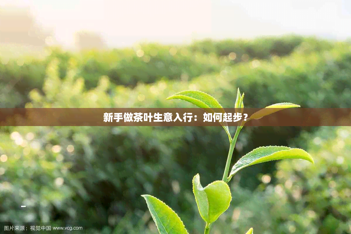 新手做茶叶生意入行：如何起步？