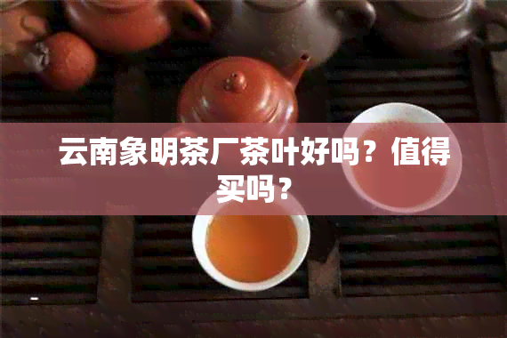 云南象明茶厂茶叶好吗？值得买吗？